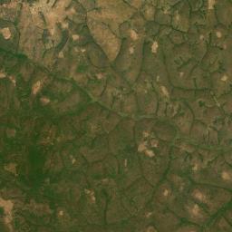 Djohong Satellite Map