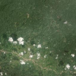 Fish Town Satellite Map