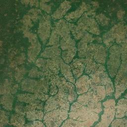 Bertoua Satellite Map