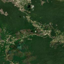 Pacaraima Satellite Map