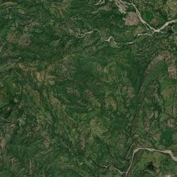 Ortega Satellite Map