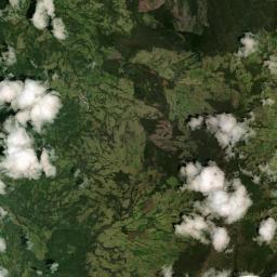 Sotará Satellite Map