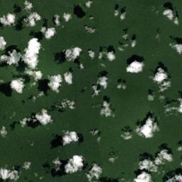 Papunaua Satellite Map