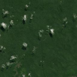 Ferreira Gomes Satellite Map