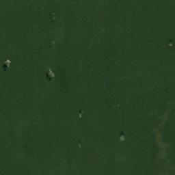 Taraira Satellite Map