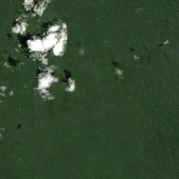 Presidente Figueiredo Satellite Map