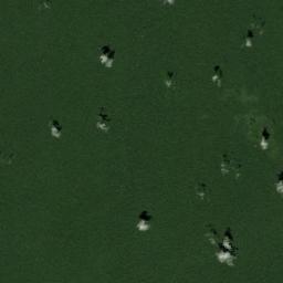 Puerto Arica Satellite Map