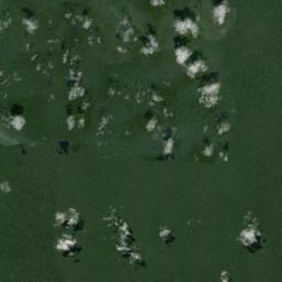 Novo Airão Satellite Map