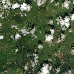 Cedral Satellite Map