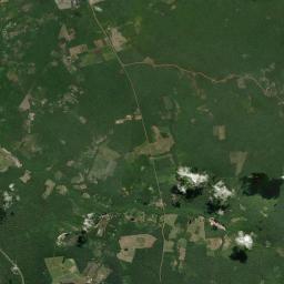 Juruti Satellite Map