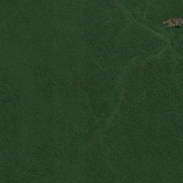 Caapiranga Satellite Map