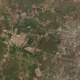 Cocal Satellite Map