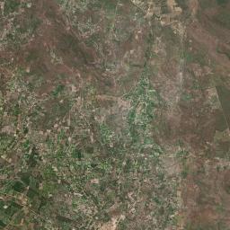 Cocal dos Alves Satellite Map
