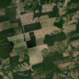 Uruará Satellite Map