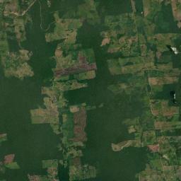 Rurópolis Satellite Map