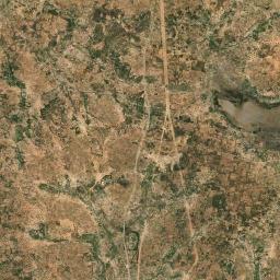 Puma Satellite Map