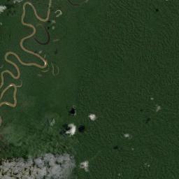 Jutaí Satellite Map