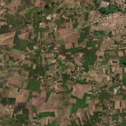 Água Branca Satellite Map