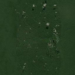 Tapauá Satellite Map