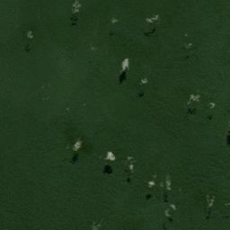 Ipixuna Satellite Map
