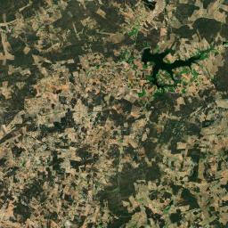 Tavares Satellite Map