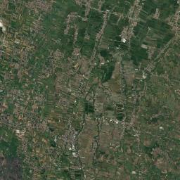 Ngoro Satellite Map