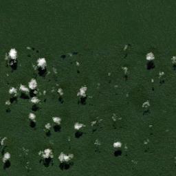Rodrigues Alves Satellite Map
