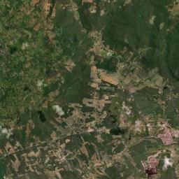 Flores Satellite Map