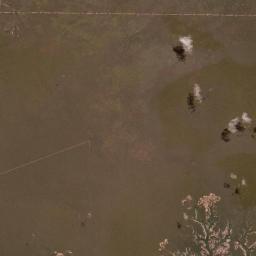 Tamboril do Piauí Satellite Map