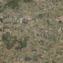 Dois Riachos Satellite Map