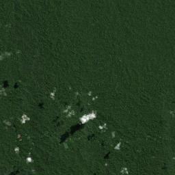 Provincia de Coronel Portillo Satellite Map