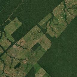 Bujari Satellite Map