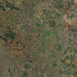 Taquarana Satellite Map
