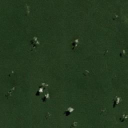 Provincia Manuripi Satellite Map