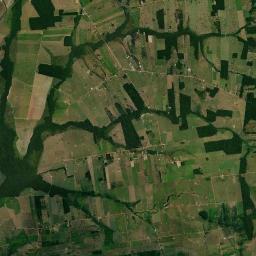 Seringueiras Satellite Map