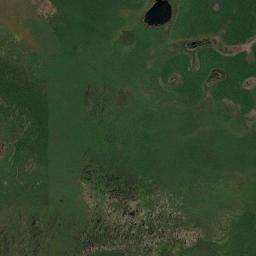 Pimenteiras do Oeste Satellite Map