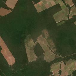 São José do Rio Claro Satellite Map