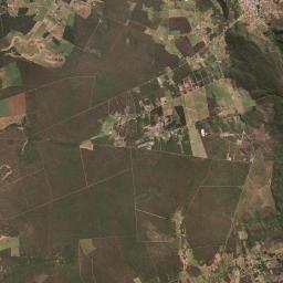Palmas de Monte Alto Satellite Map