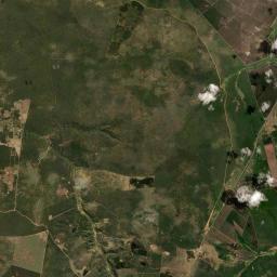 Divisa Alegre Satellite Map