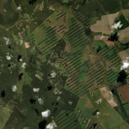 Concepción Satellite Map