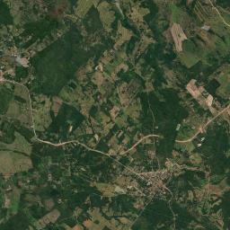 Buena Vista Satellite Map