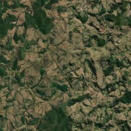 Gonzaga Satellite Map