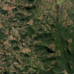 Araponga Satellite Map