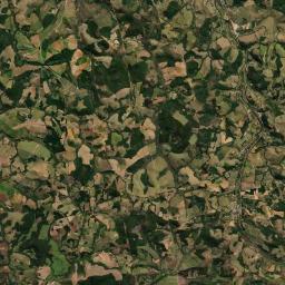 Carandaí Satellite Map