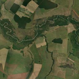 São João do Pau d'Alho Satellite Map