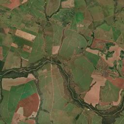 Flora Rica Satellite Map