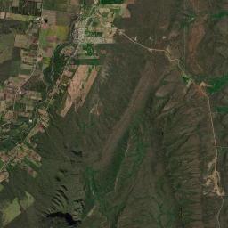 Palma Sola Satellite Map