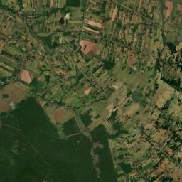 Capiíbary Satellite Map