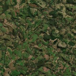Boa Ventura de São Roque Satellite Map