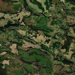 Campo Bonito Satellite Map